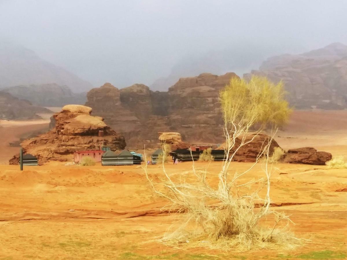 Bedouin Culture Camp Wadi Rum Luaran gambar